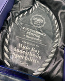 Award for Outstanding Service in 2020 for Wide Bay Anaesthesia Specialists